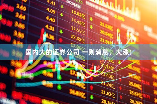 国内大的证券公司 一则消息，大涨！